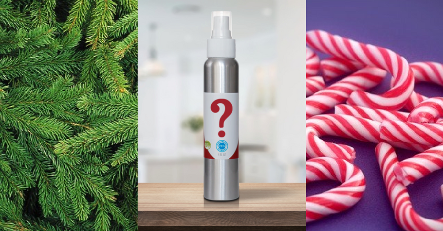 New Holiday Scent - It's time to vote!